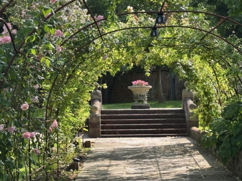 The gardens